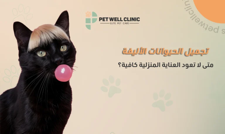 تجميل الحيوانات الأليفة