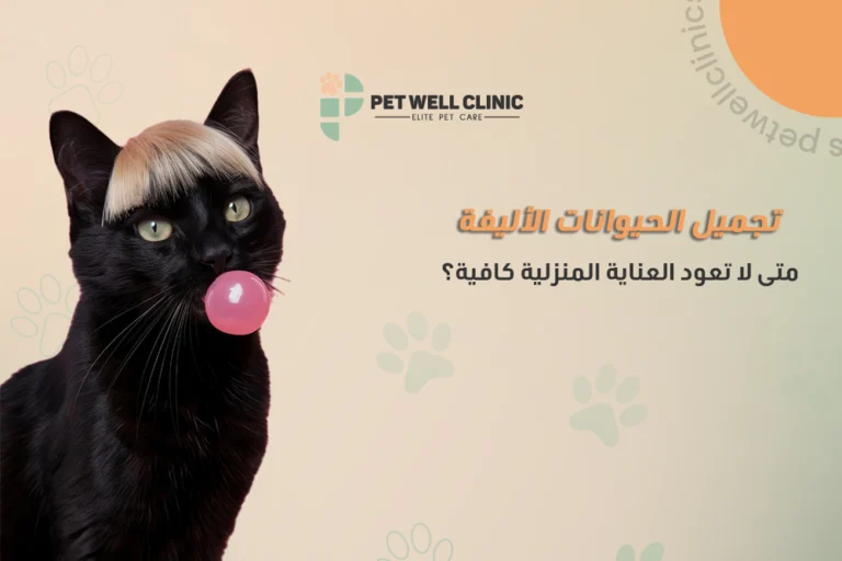 تجميل الحيوانات الأليفة