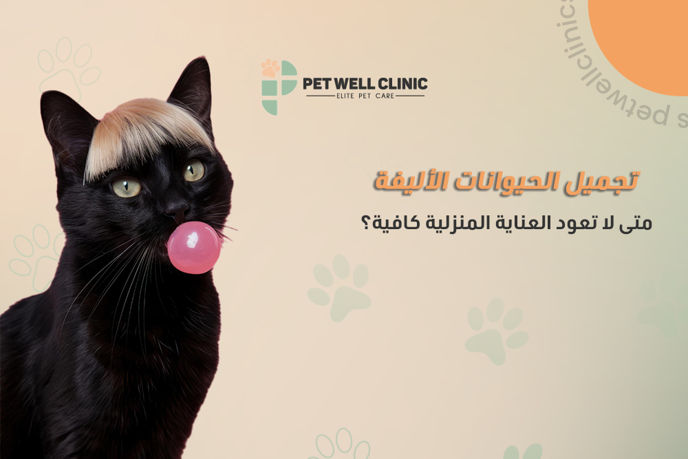 تجميل الحيوانات الأليفة