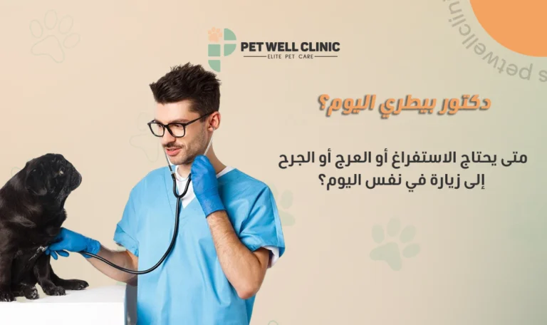 دكتور بيطري