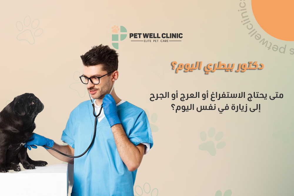 دكتور بيطري