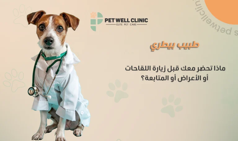 طبيب بيطري