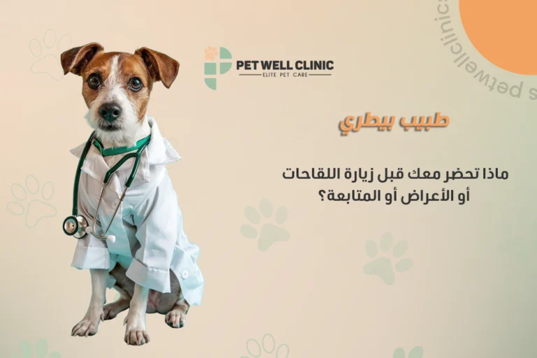 طبيب بيطري