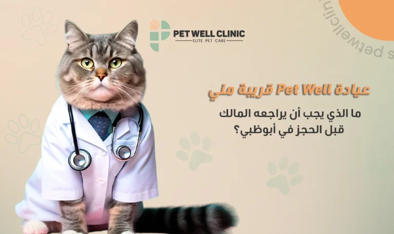 عيادة بيت ويل قريبة مني في أبوظبي