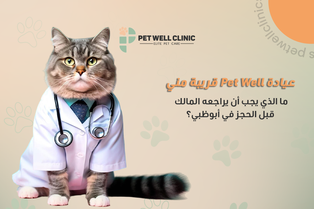 عيادة بيت ويل قريبة مني في أبوظبي