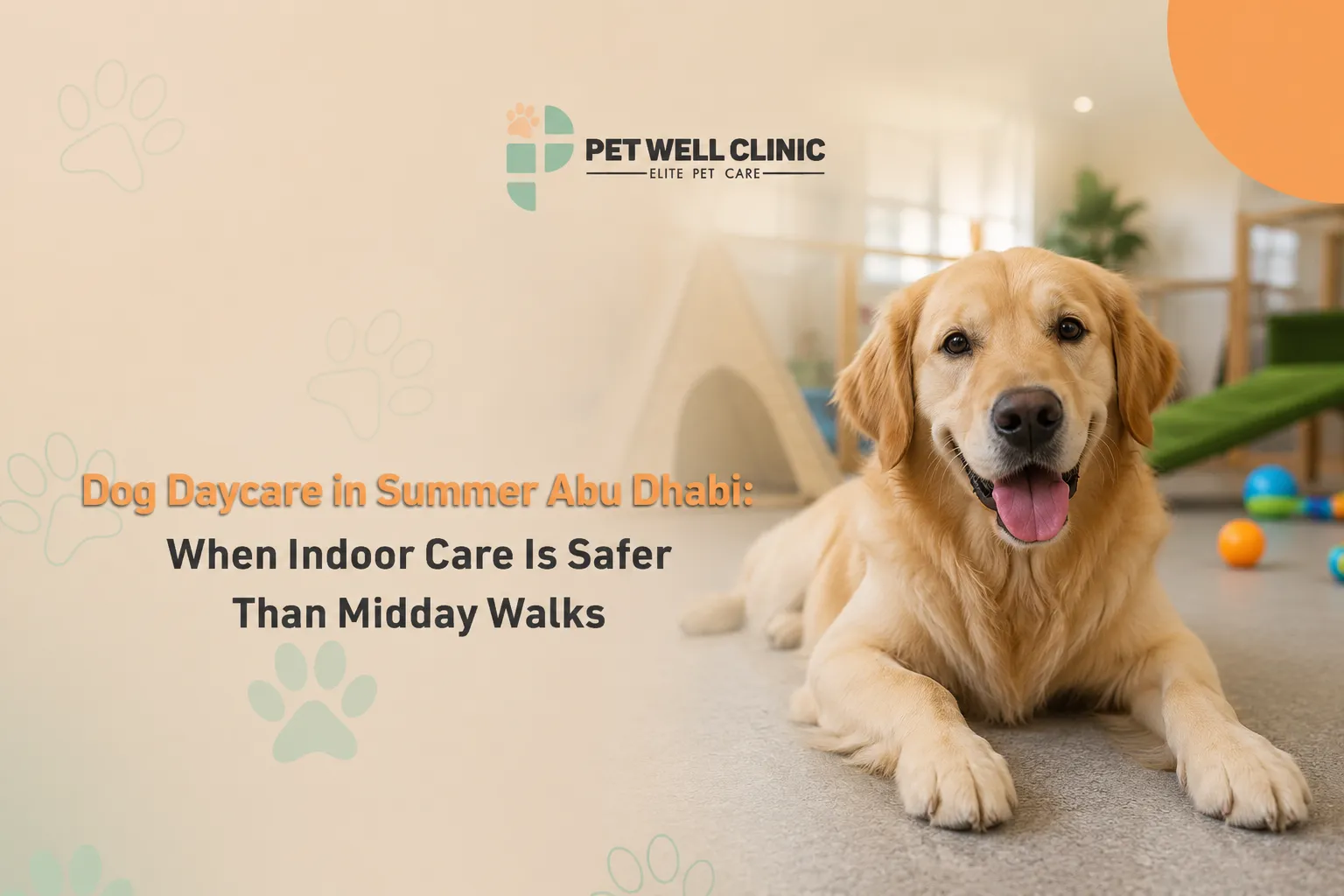 dog daycare summer Abu Dhabi