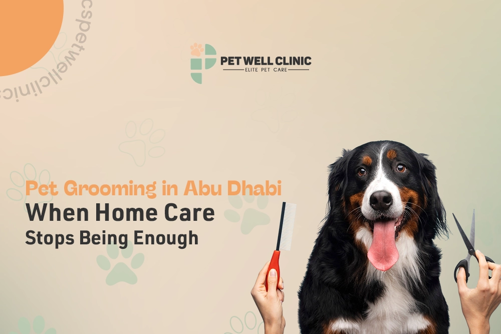 pet grooming