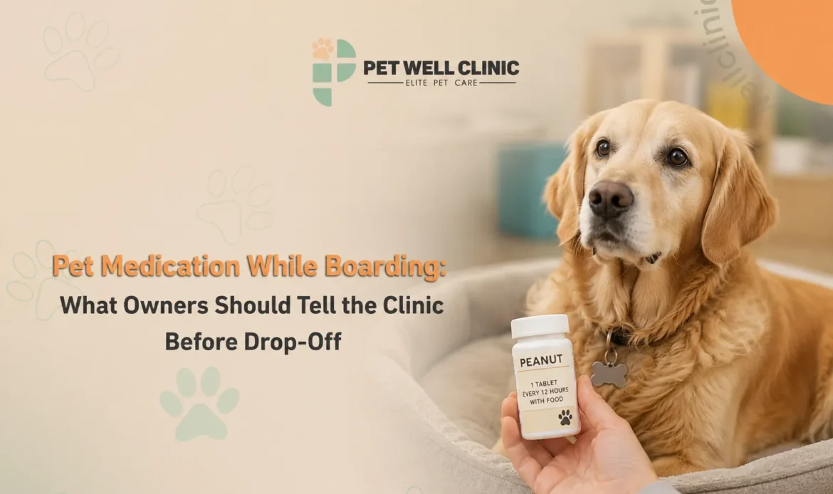pet medication Abu Dhabi