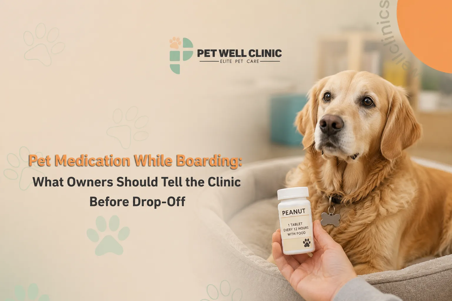 pet medication Abu Dhabi