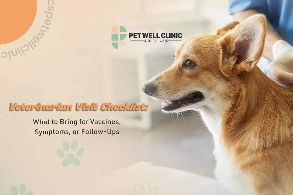 veterinarian