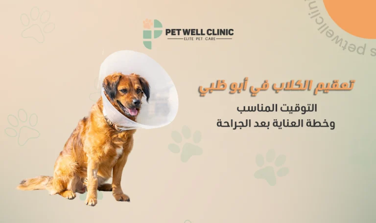 تعقيم الكلاب في أبو ظبي