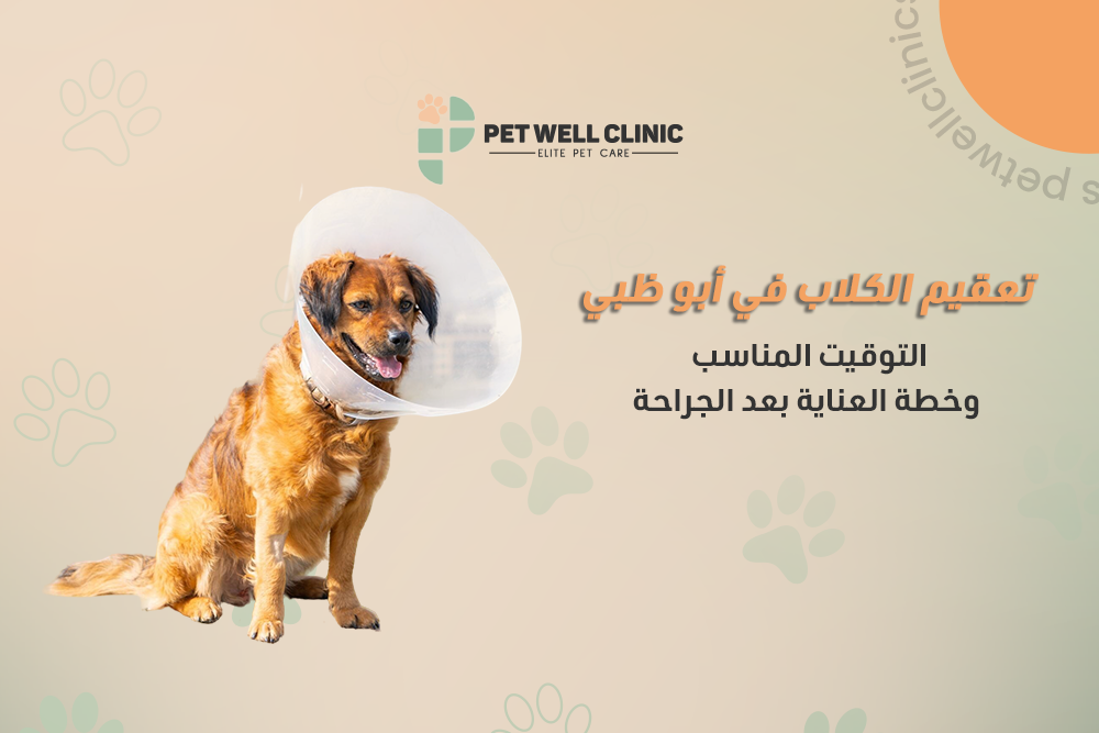 تعقيم الكلاب في أبو ظبي