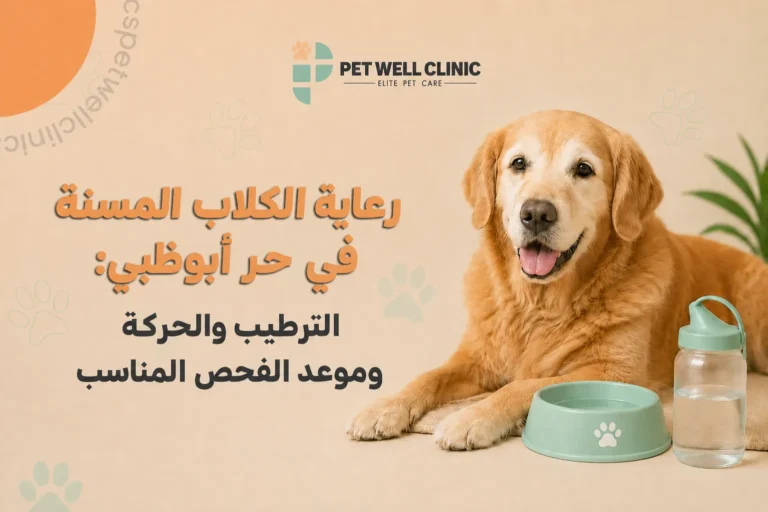 رعاية الكلاب المسنة في حر أبوظبي
