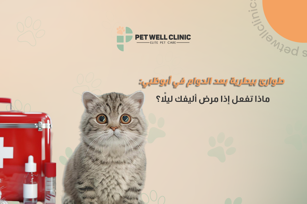 طوارئ بيطرية بعد الدوام في أبوظبي