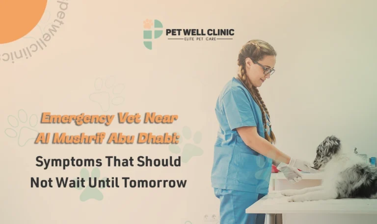 emergency vet Al Mushrif Abu Dhabi