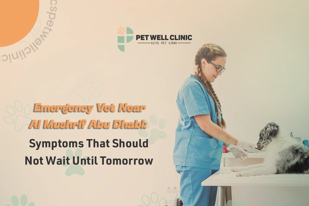 emergency vet Al Mushrif Abu Dhabi