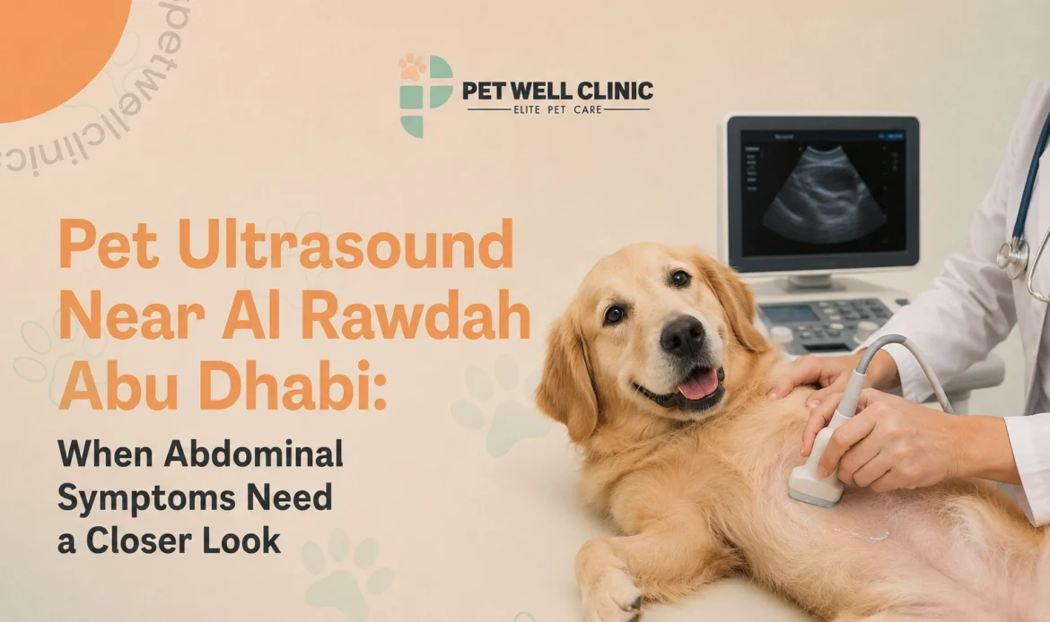 Pet Ultrasound Near Al Rawdah Abu Dhabi
