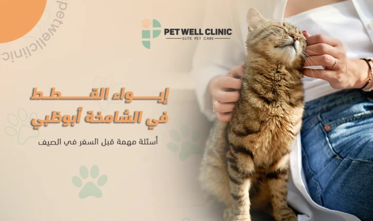 إيواء القطط في الشامخة أبوظبي