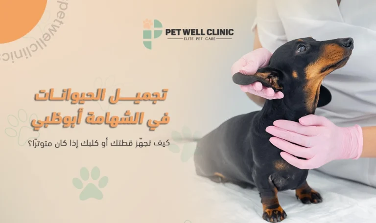 تجميل الحيوانات في الشهامة أبوظبي