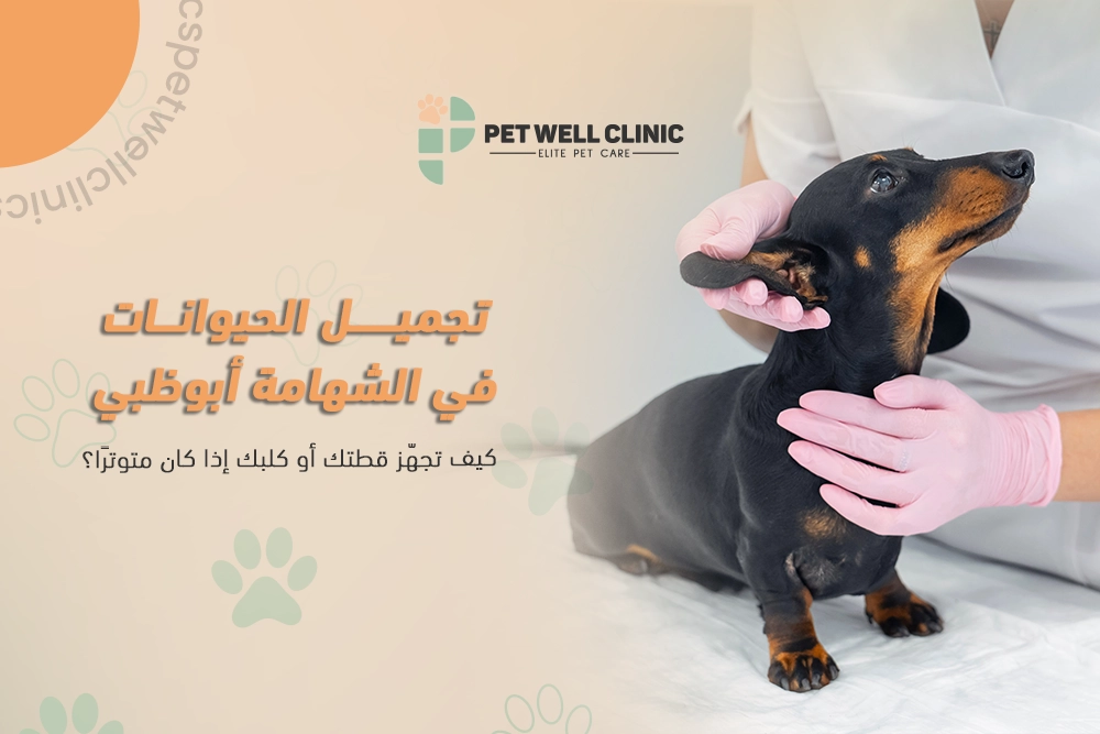 تجميل الحيوانات في الشهامة أبوظبي