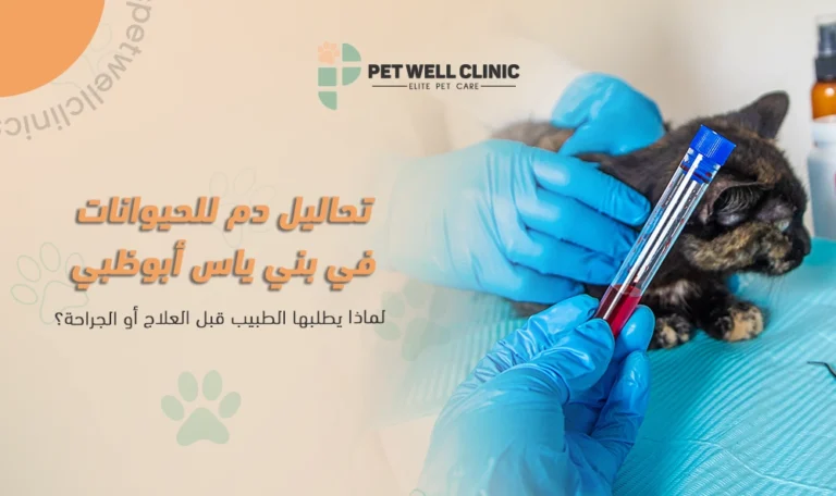 تحاليل دم للحيوانات في بني ياس أبوظبي