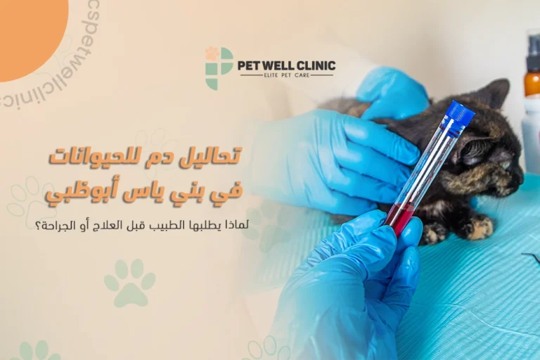 تحاليل دم للحيوانات في بني ياس أبوظبي