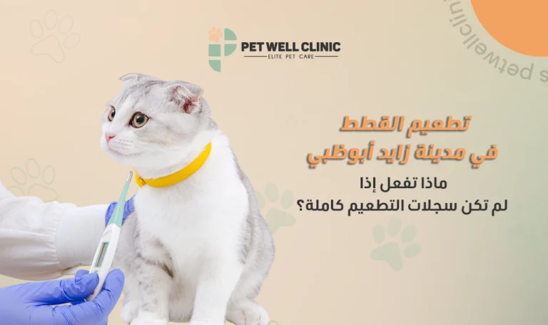 تطعيم القطط في مدينة زايد أبوظبي