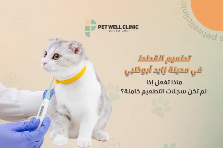 تطعيم القطط في مدينة زايد أبوظبي