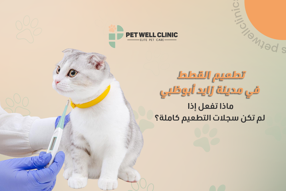 تطعيم القطط في مدينة زايد أبوظبي