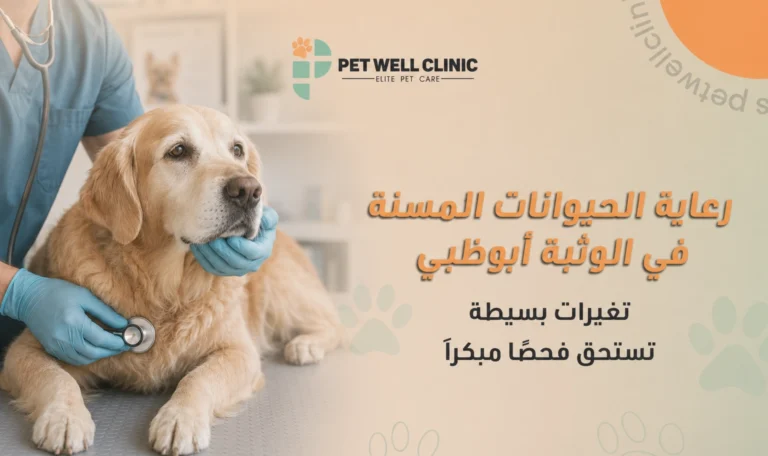 رعاية الحيوانات المسنة في الوثبة أبوظبي