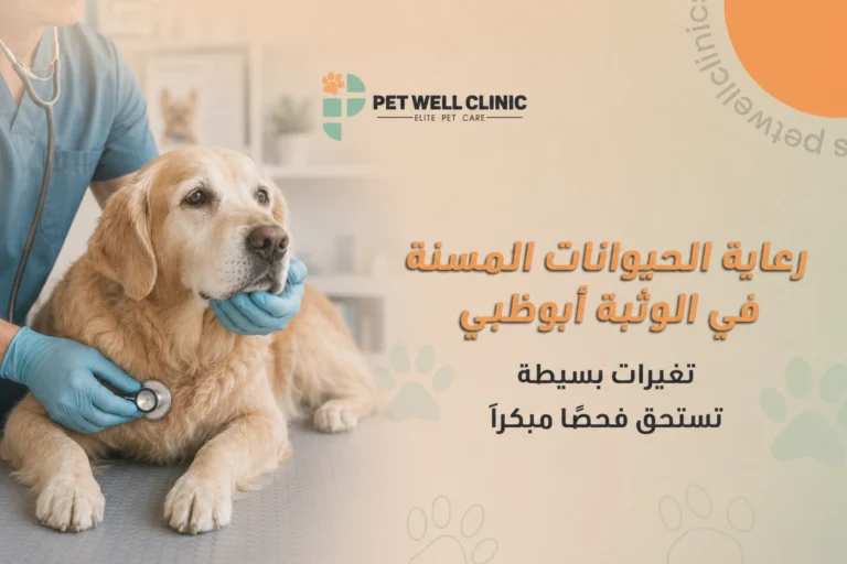 رعاية الحيوانات المسنة في الوثبة أبوظبي