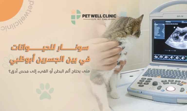 سونار للحيوانات في بين الجسرين أبوظبي