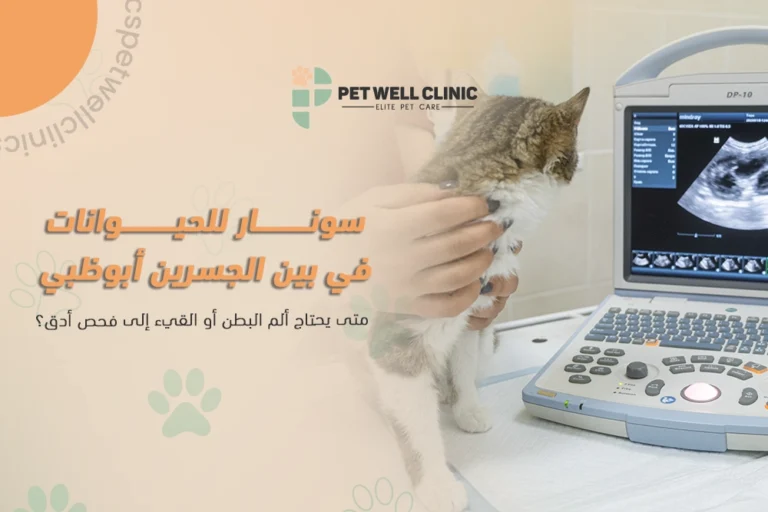 سونار للحيوانات في بين الجسرين أبوظبي