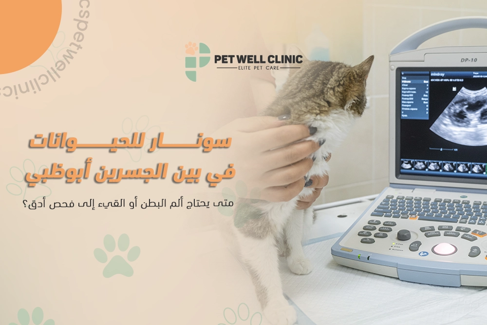 سونار للحيوانات في بين الجسرين أبوظبي