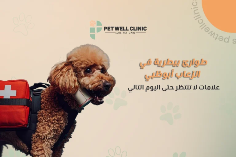 طوارئ بيطرية في الزعاب أبوظبي