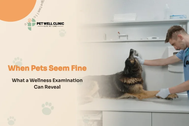 When Pets Seem Fine: What a Wellness Examination Can Reveal
