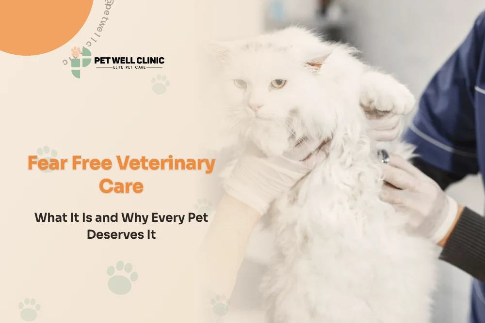Fear Free Veterinary Care: What It Is and Why Every Pet Deserves It