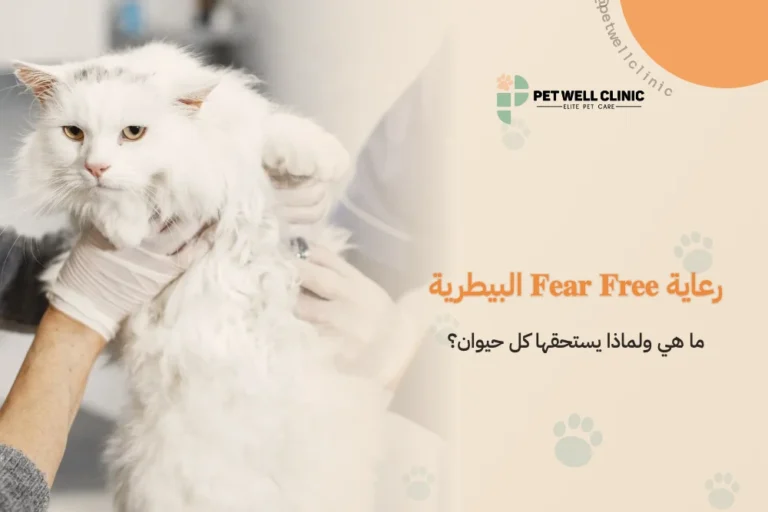 رعاية Fear Free البيطرية: ما هي ولماذا يستحقها كل حيوان؟