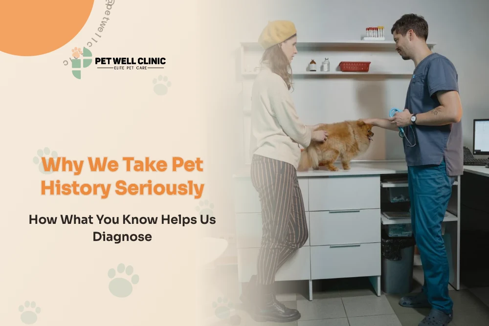Why We Take Pet History Seriously: How What You Know Helps Us Diagnose