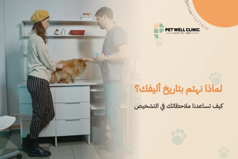 لماذا نهتم بتاريخ أليفك؟: كيف تساعدنا ملاحظاتك في التشخيص