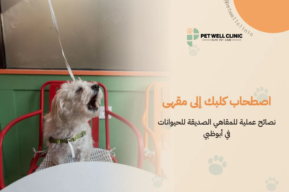 اصطحاب كلبك إلى مقهى: نصائح عملية للمقاهي الصديقة للحيوانات في أبوظبي